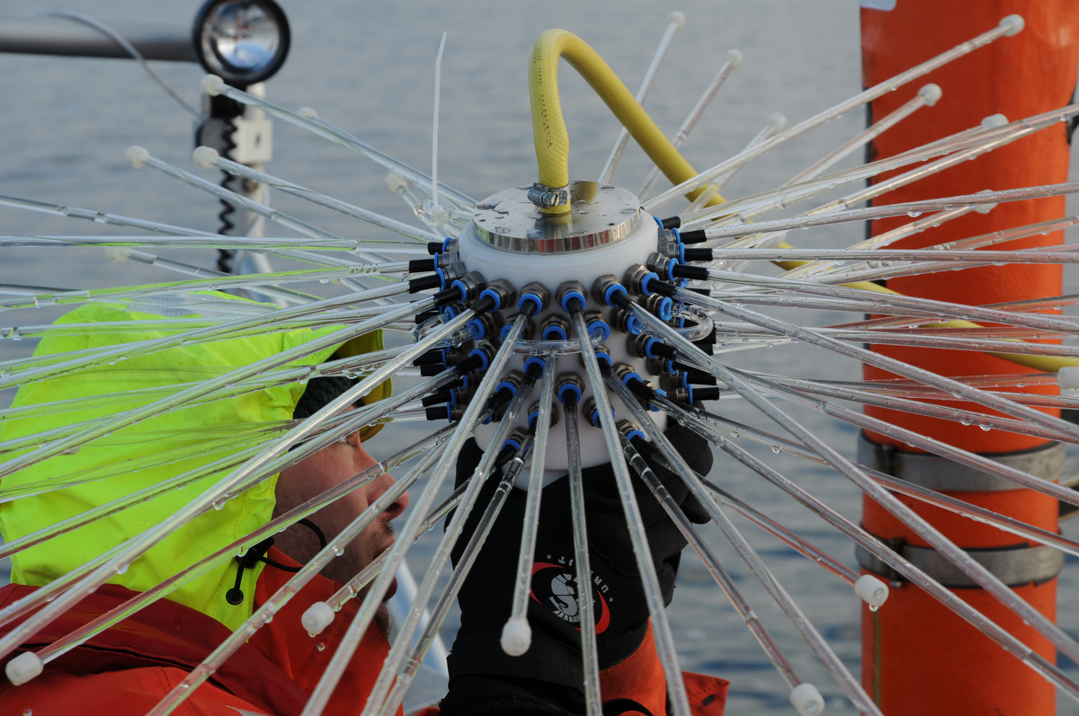 "Spinne", mit der mit Kohlendioxid gesättigtes Wasser zum Ansäuern in die Meskosmen eingebracht wird.